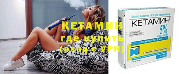 индика Ельня