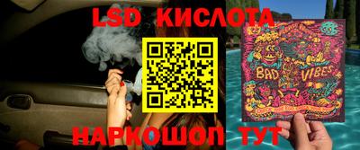 ГАЛЛЮЦИНОГЕННЫЕ ГРИБЫ Кулебаки
