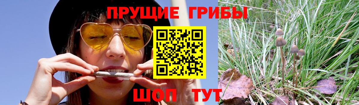 Псилоцибиновые грибы Psilocybe  Псилоцибиновые грибы Magic Shrooms  Вход с VPN  Спасск-Дальний 